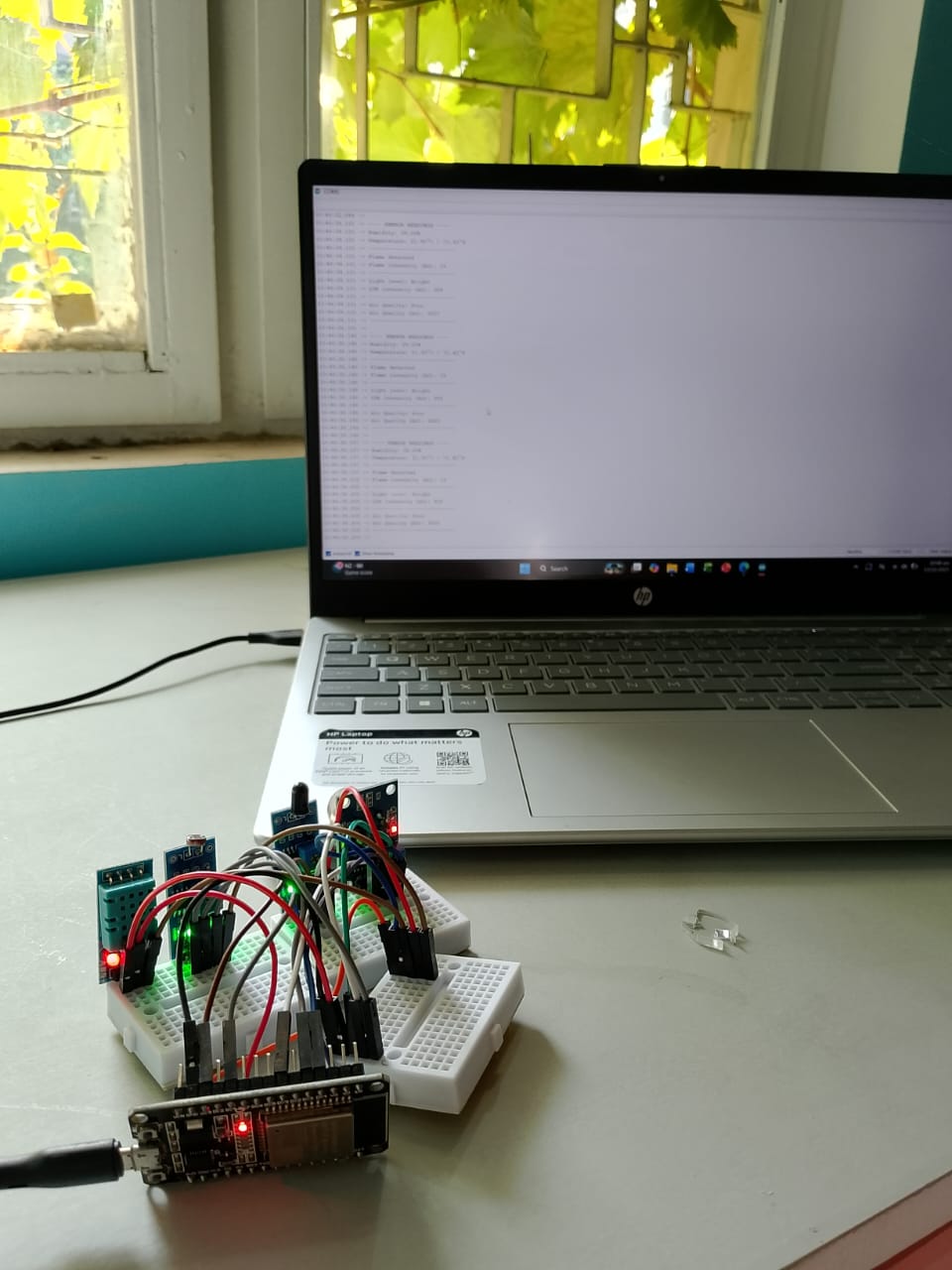 Environment Monitoring CubeSat - Project Showcase